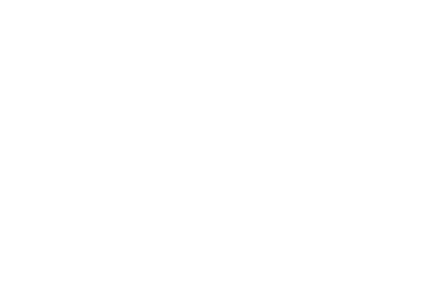 Janks Design Group logo